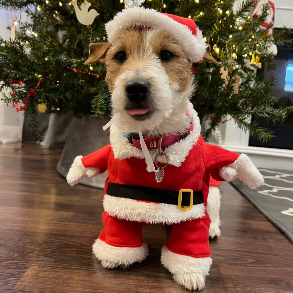 Get Your Pup Ready for the Holidays with Our Cozy Winter Christmas Cosplay Costumes for Small and Medium Dogs and Cats